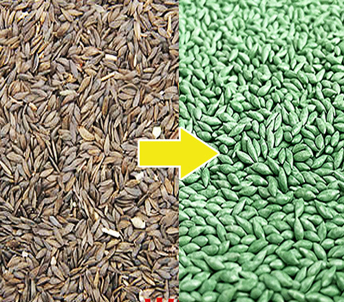 生菜種子丸?;?></div>
<div style=